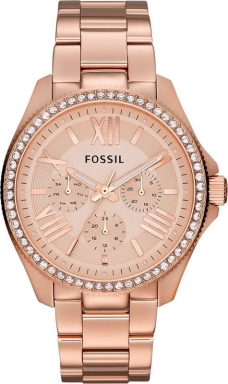 Часы Fossil Cecile AM4483