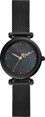 Часы Fossil ES4829
