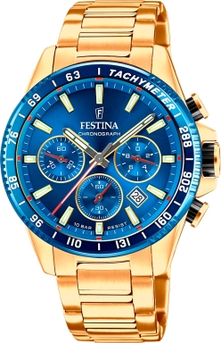 Часы Festina Timeless Chronograph F20634/3