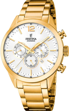 Часы Festina Chrono Sport F20633/1